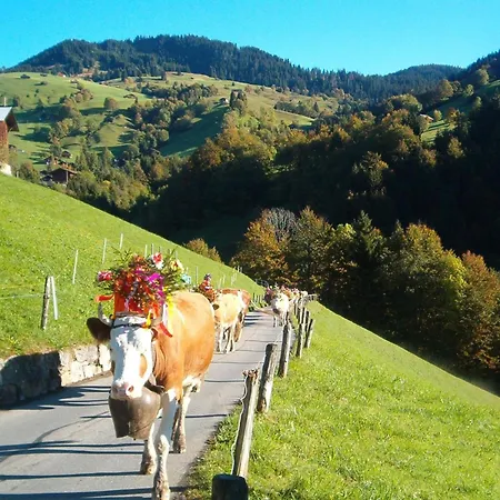 Hubertus A By Interhome Habkern