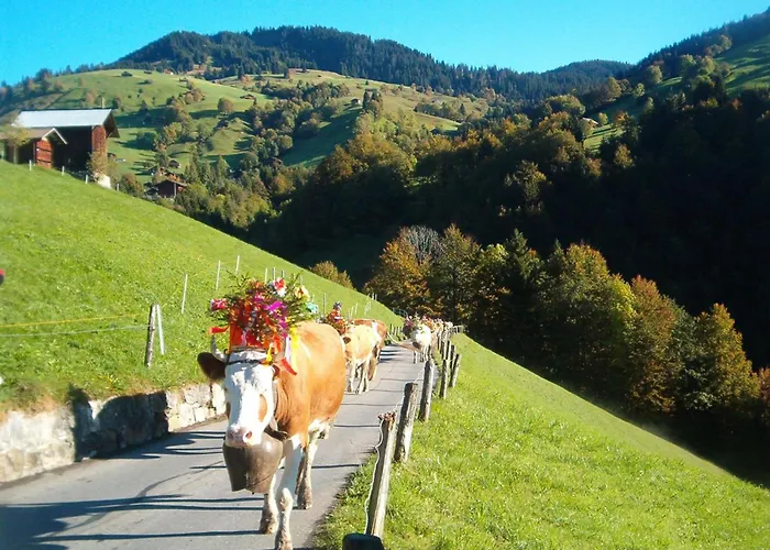 Hubertus A By Interhome Habkern